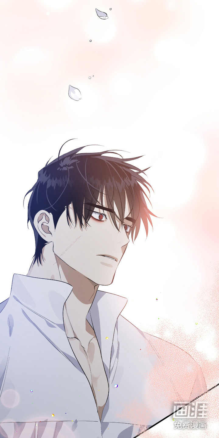 白夜的花路漫画-图4