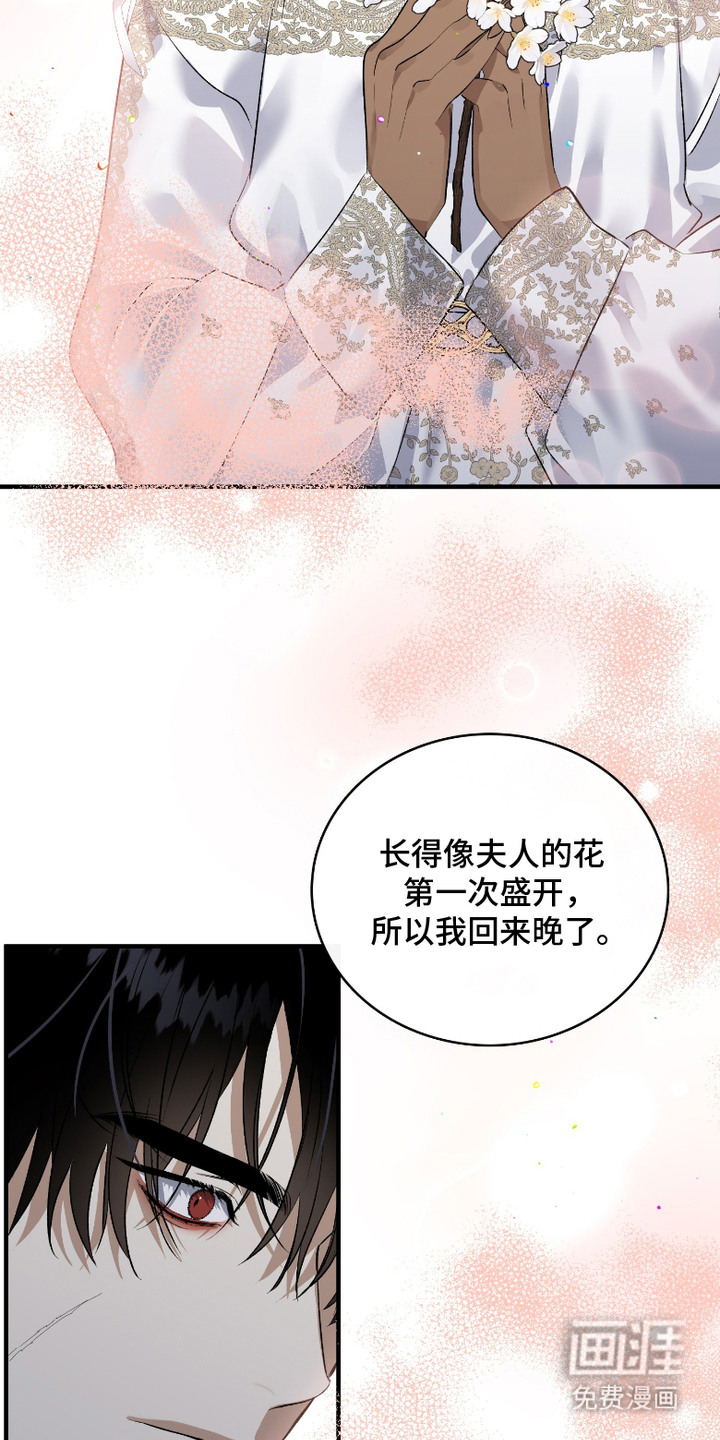 白夜的花路漫画-图6