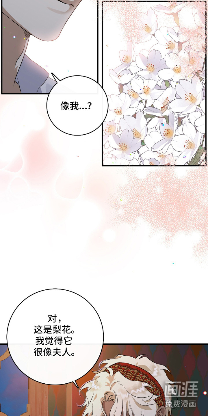 白夜的花路漫画-图7