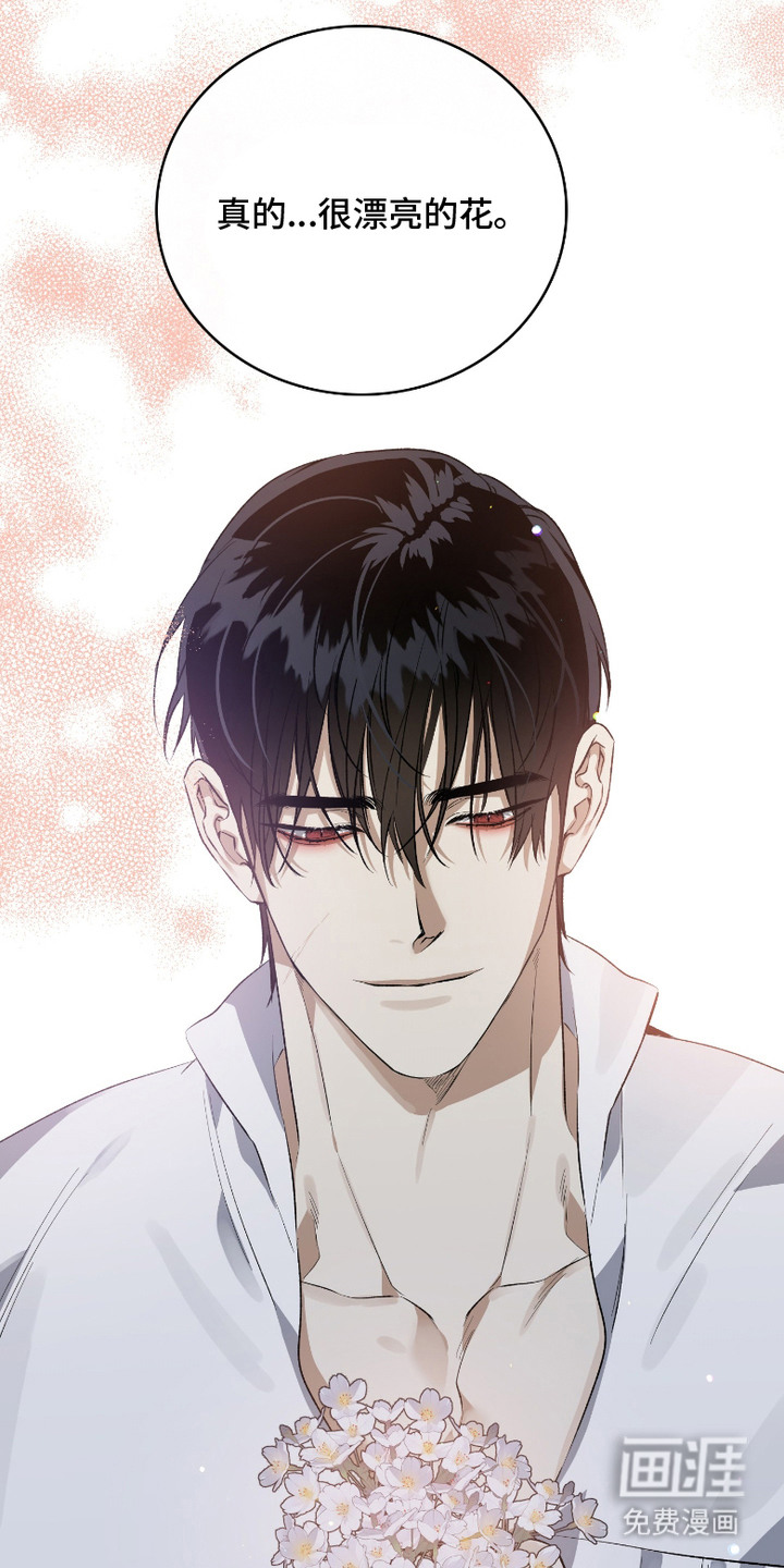 白夜的花路漫画-图13