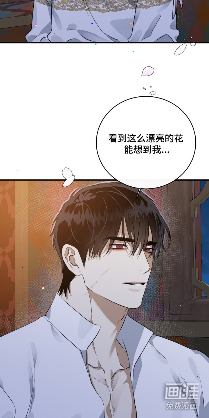 白夜的花路漫画-图15