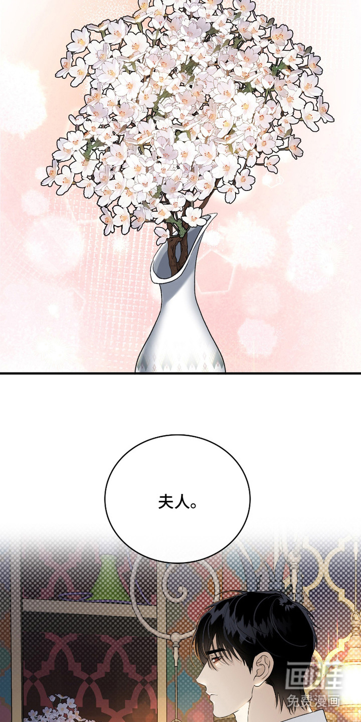 白夜的花路漫画-图17