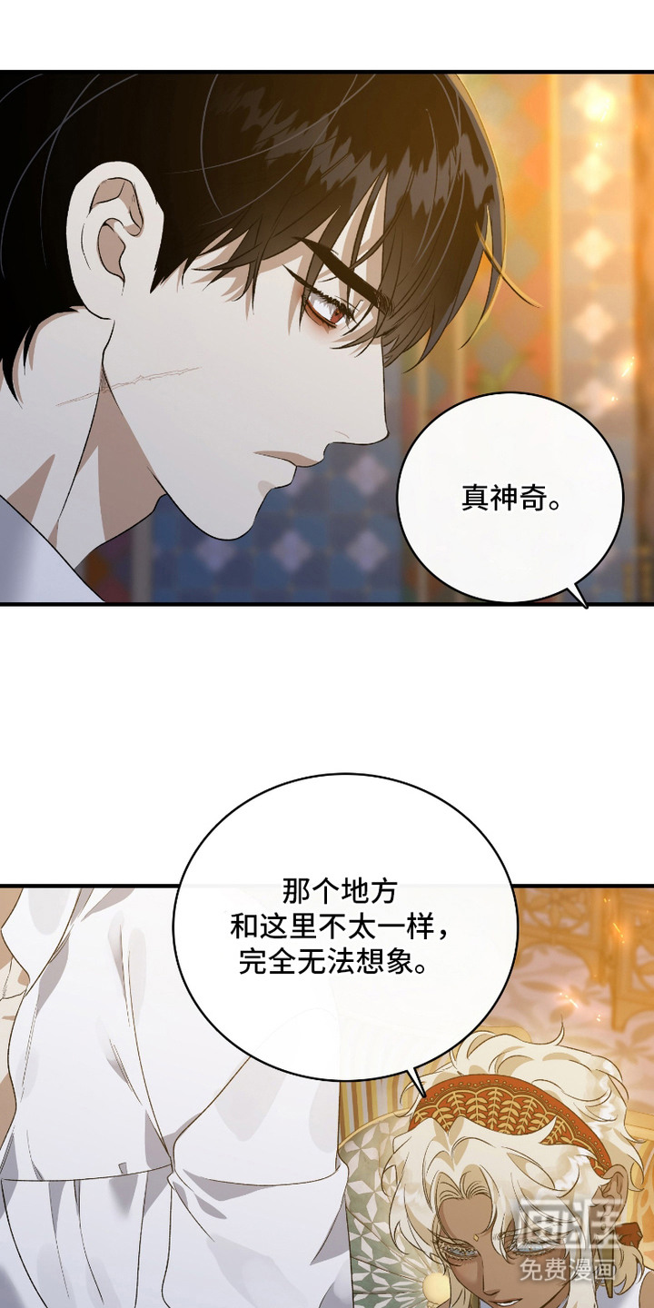 白夜的花路漫画-图7