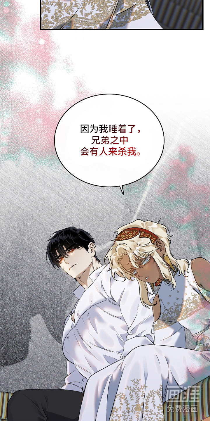 白夜的花路漫画-图14