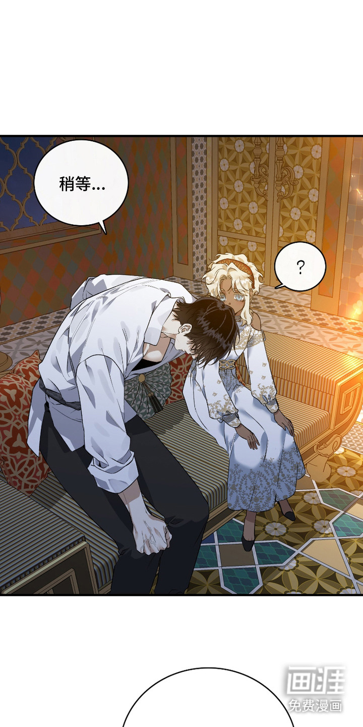 白夜的花路漫画-图16