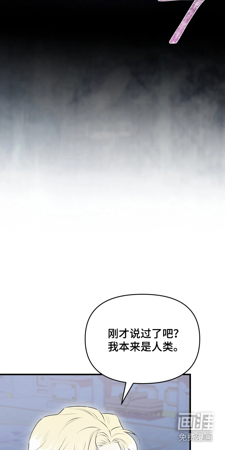 博物馆奇妙夜 第3话 第6页