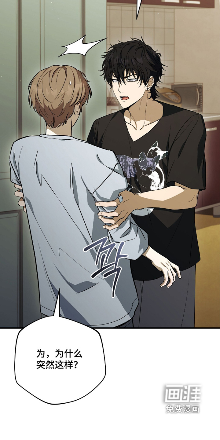 ABO标记法则漫画-图26