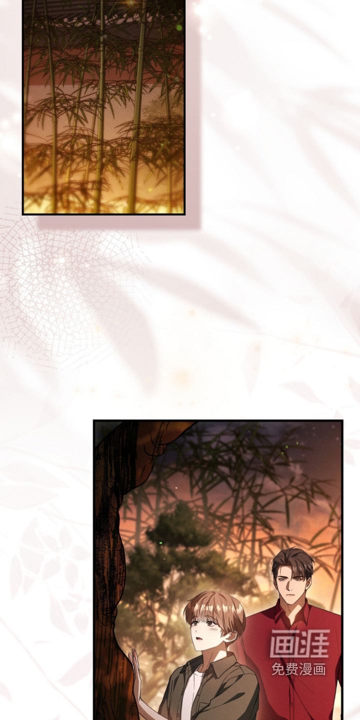 ABO标记法则漫画-图10