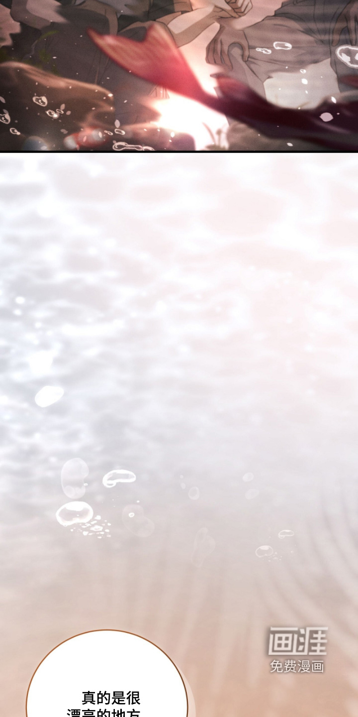 ABO标记法则漫画-图14