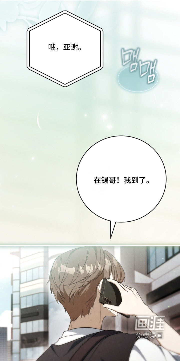 ABO标记法则第41话第1页