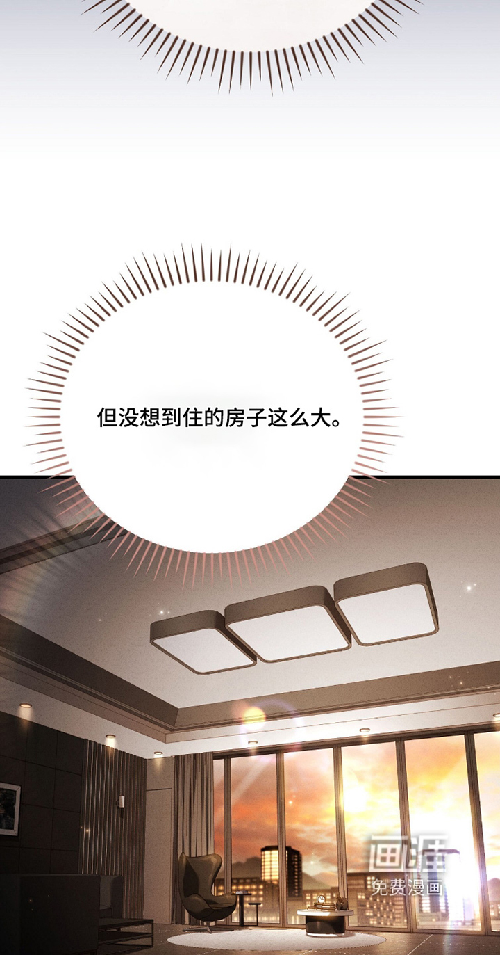 ABO标记法则漫画-图6