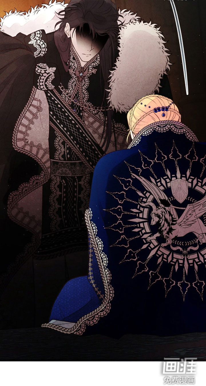 冰封的王嫁漫画-图16