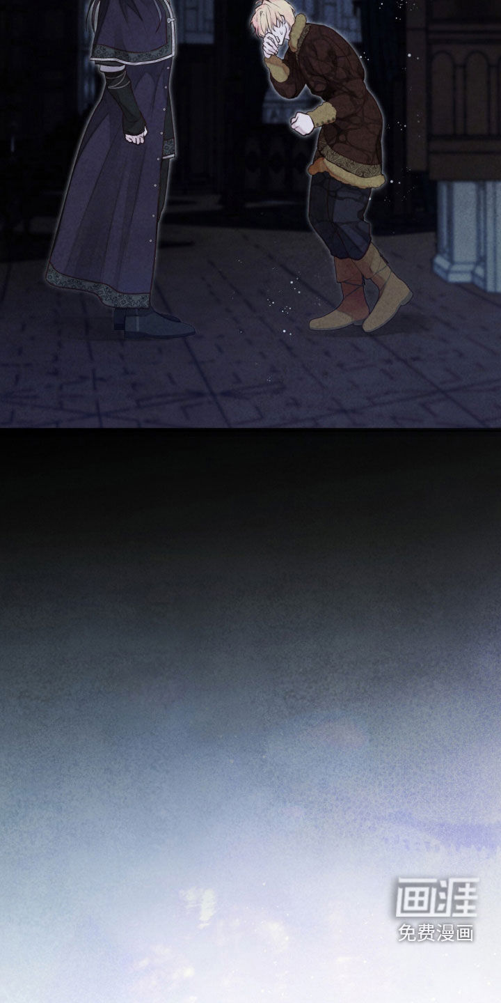 冰封的王嫁漫画-图9