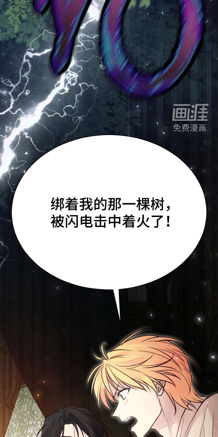 冰封的王嫁漫画-图4