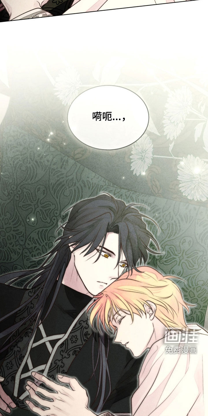 冰封的王嫁漫画-图19