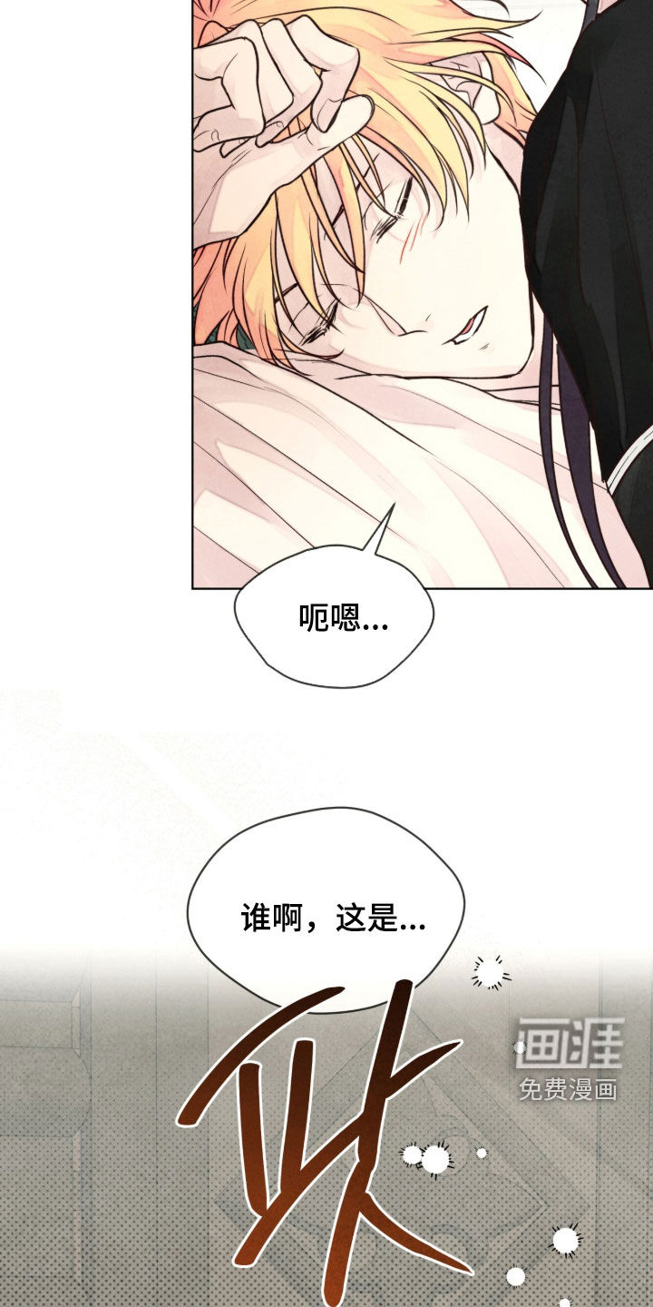 冰封的王嫁漫画-图29