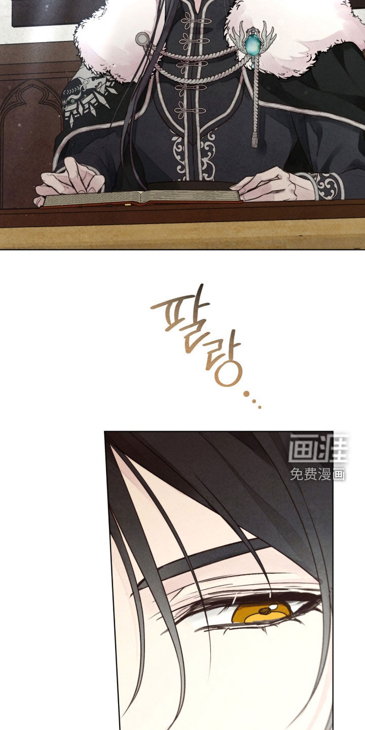 冰封的王嫁漫画-图11