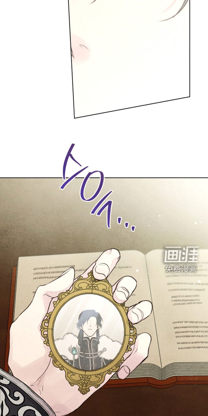 冰封的王嫁漫画-图12