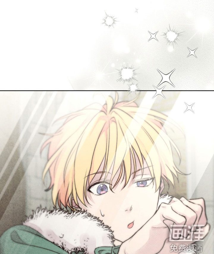 冰封的王嫁漫画-图14