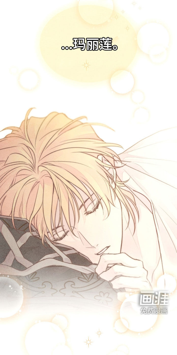 冰封的王嫁漫画-图32