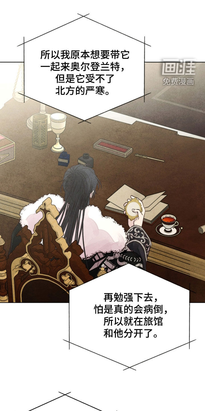 冰封的王嫁漫画-图14