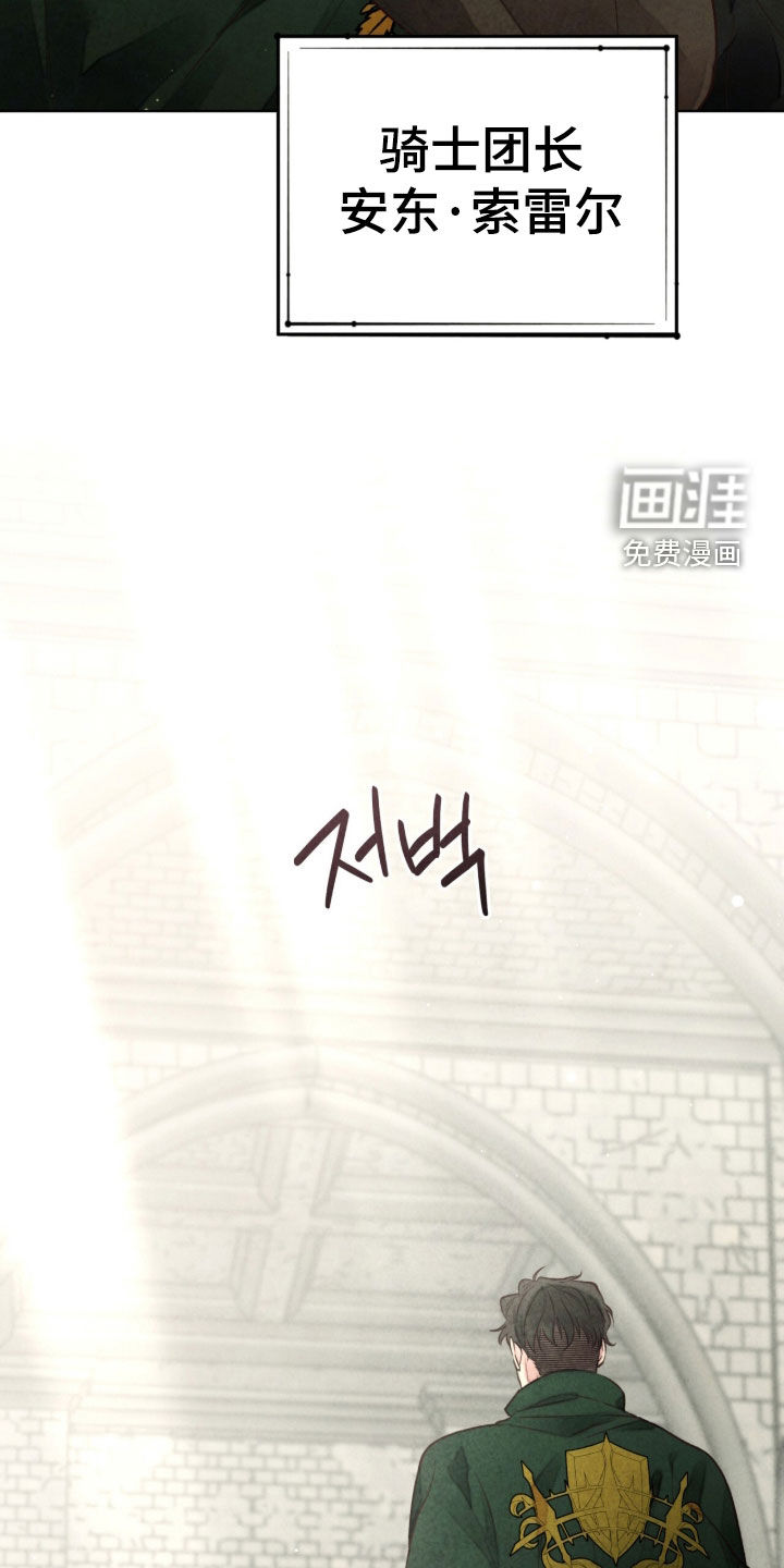 冰封的王嫁漫画-图28