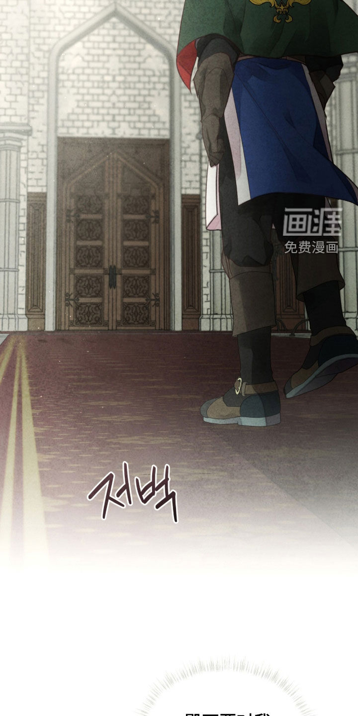 冰封的王嫁漫画-图29