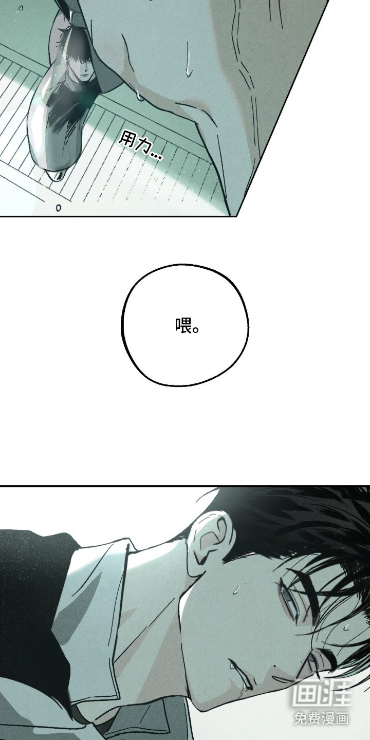 不透明关系漫画-图5