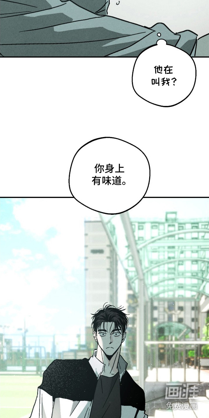 不透明关系漫画-图6