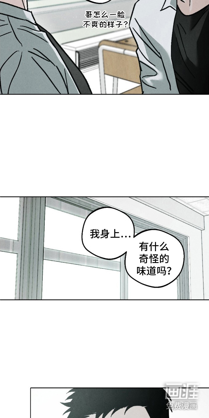 不透明关系漫画-图14