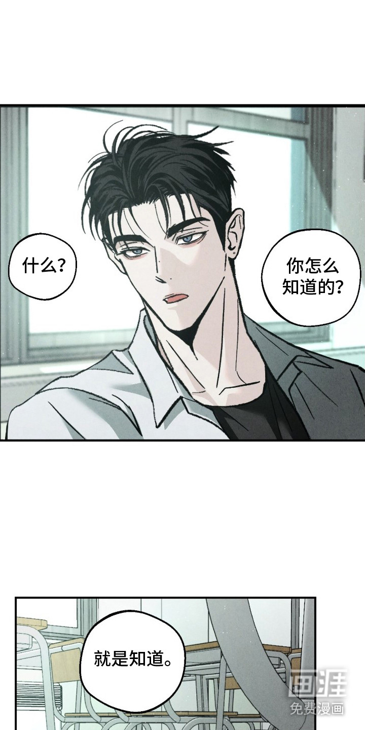 不透明关系漫画-图12