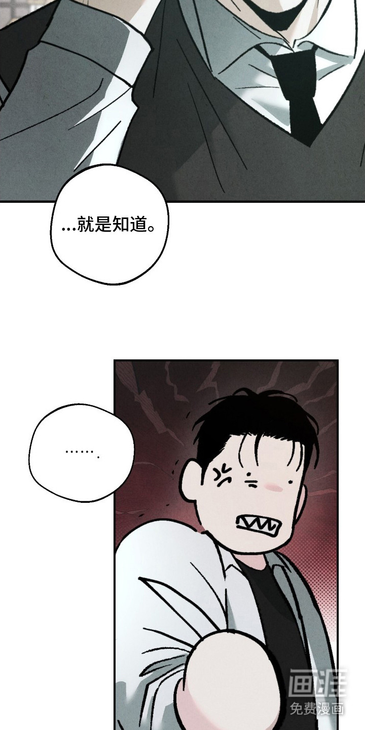 不透明关系漫画-图14