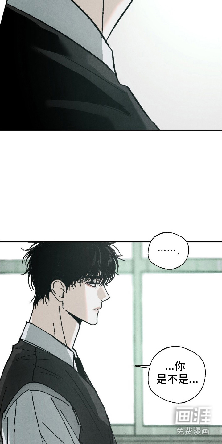 不透明关系漫画-图20