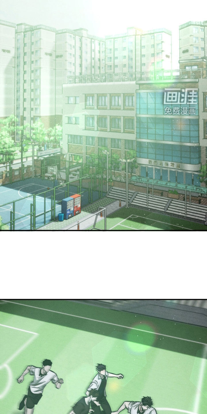 不透明关系漫画-图14