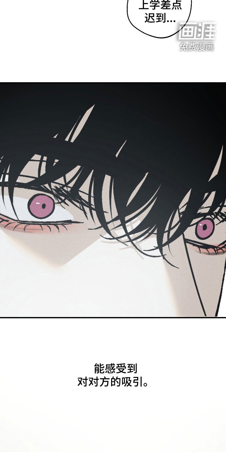 不透明关系漫画-图7