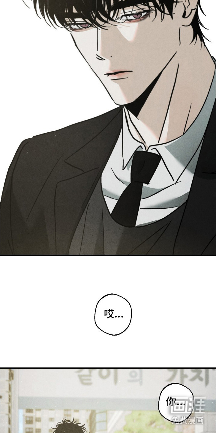 不透明关系漫画-图6