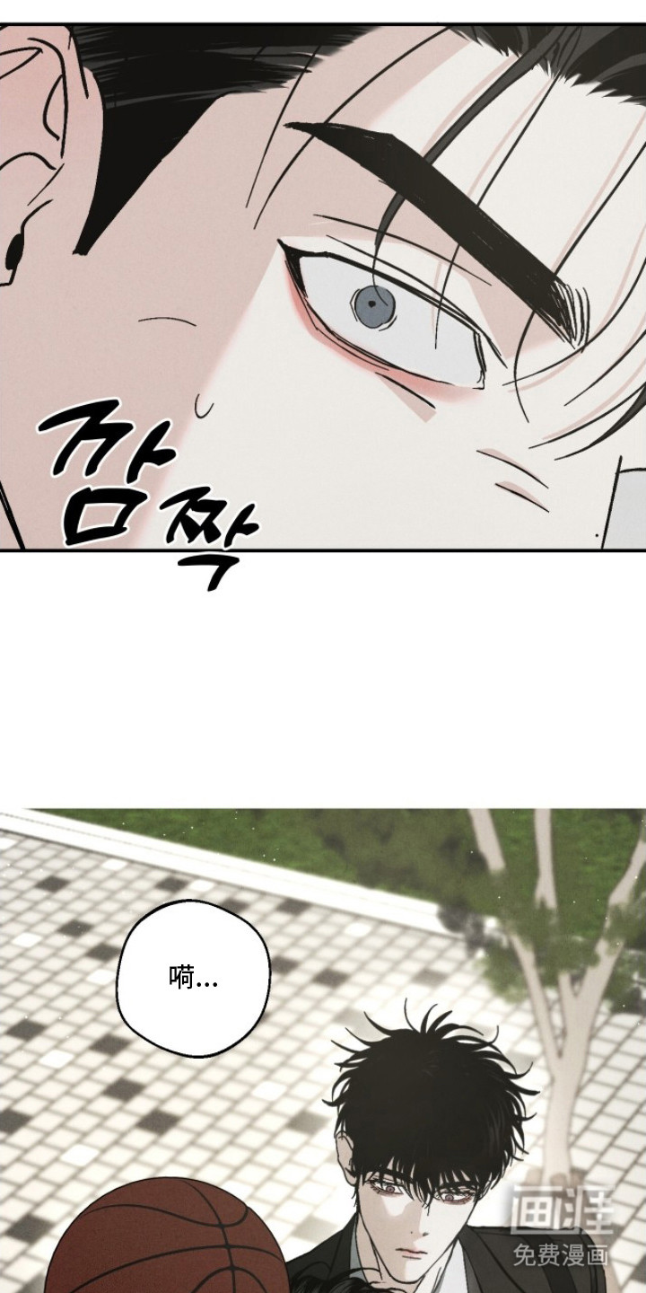 不透明关系漫画-图9