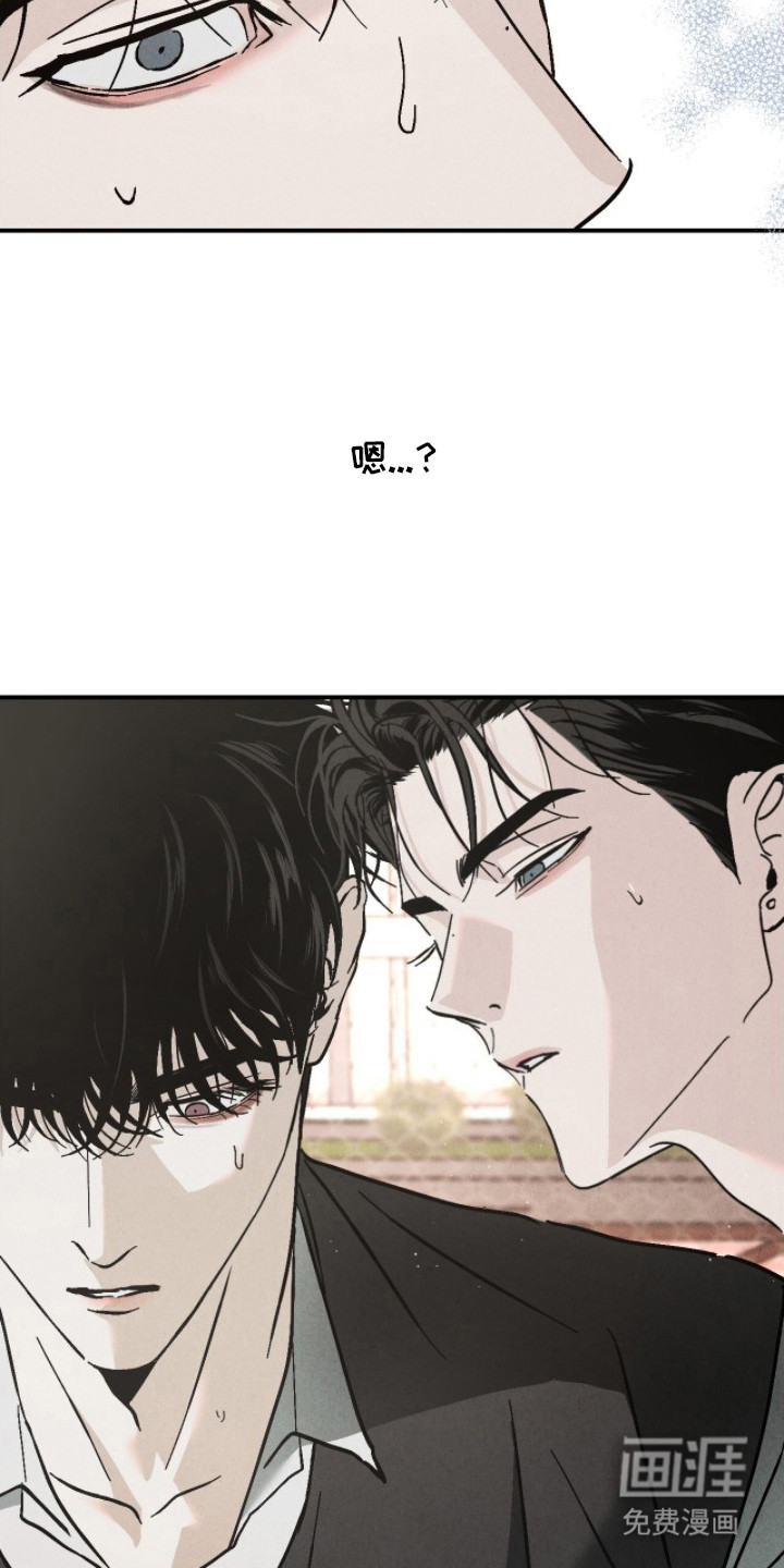 不透明关系漫画-图5