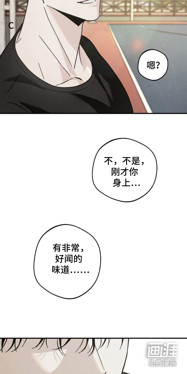 不透明关系漫画-图9