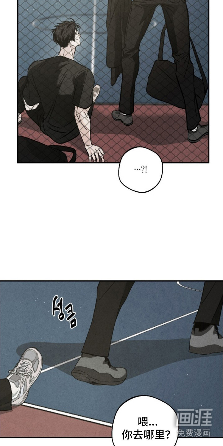 不透明关系漫画-图11