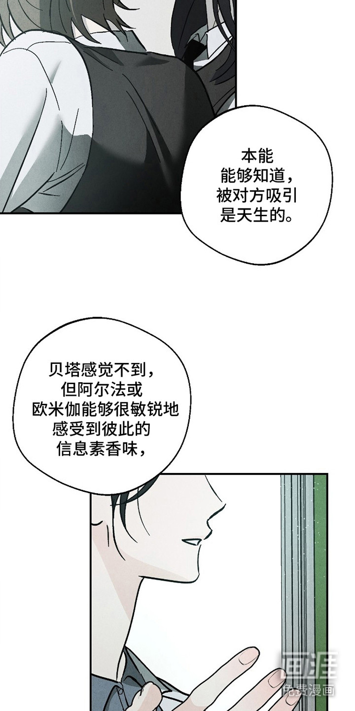 不透明关系漫画-图19