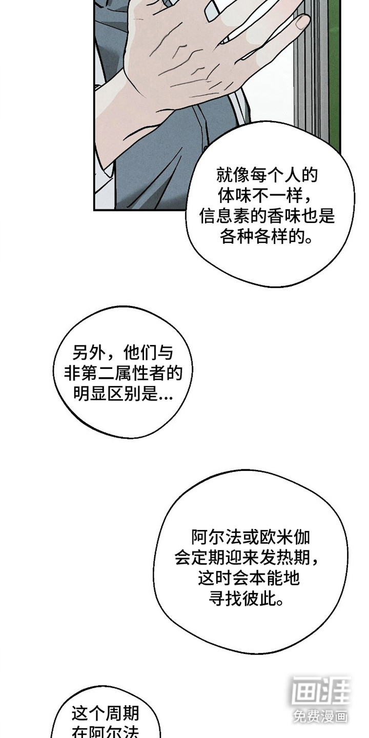 不透明关系漫画-图20