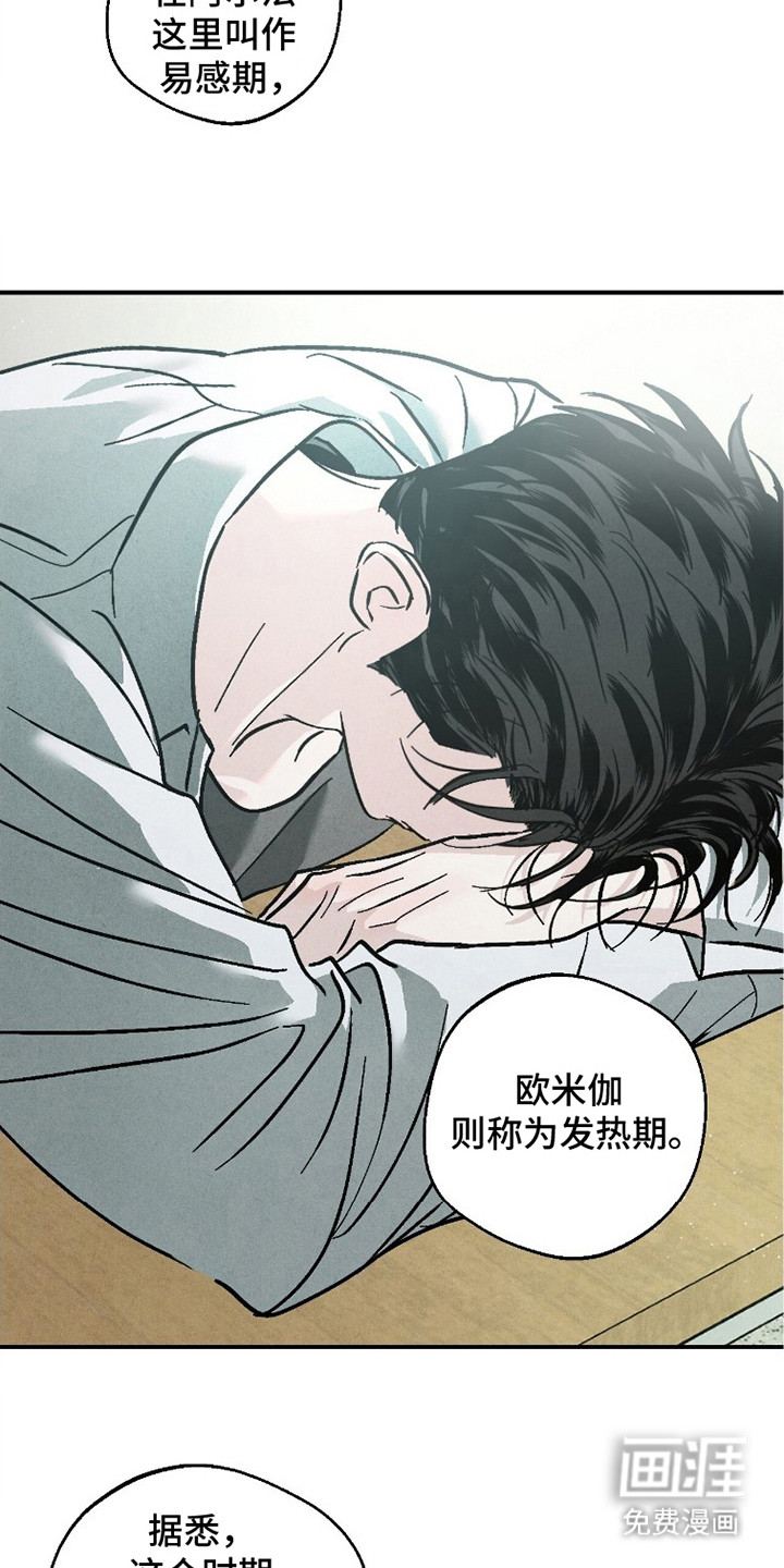 不透明关系漫画-图21