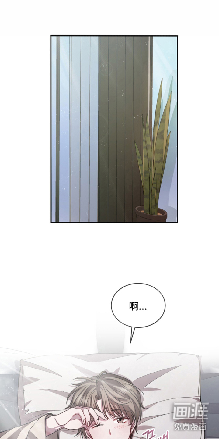 被驯养的商品漫画-图14