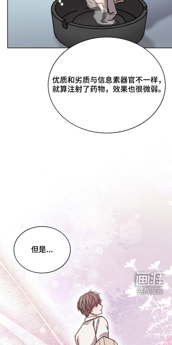 被驯养的商品漫画-图19