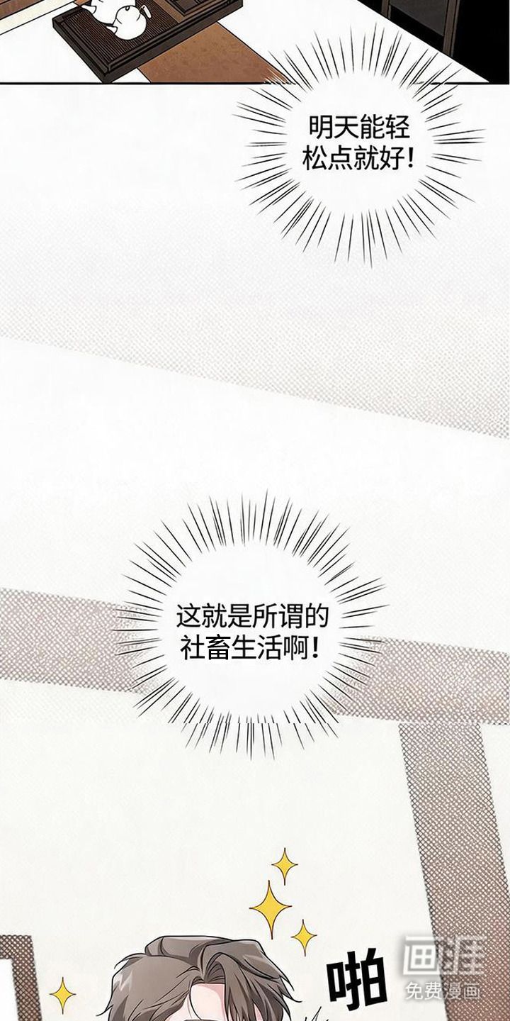 被盯上的夜漫画-图5