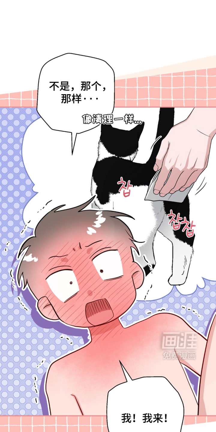 被盯上的夜漫画-图3