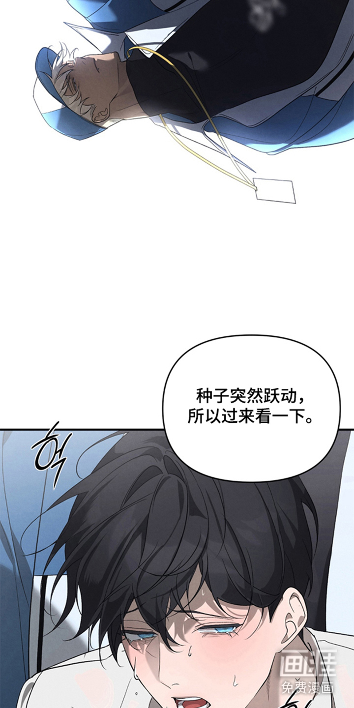 被播种的日子漫画-图3