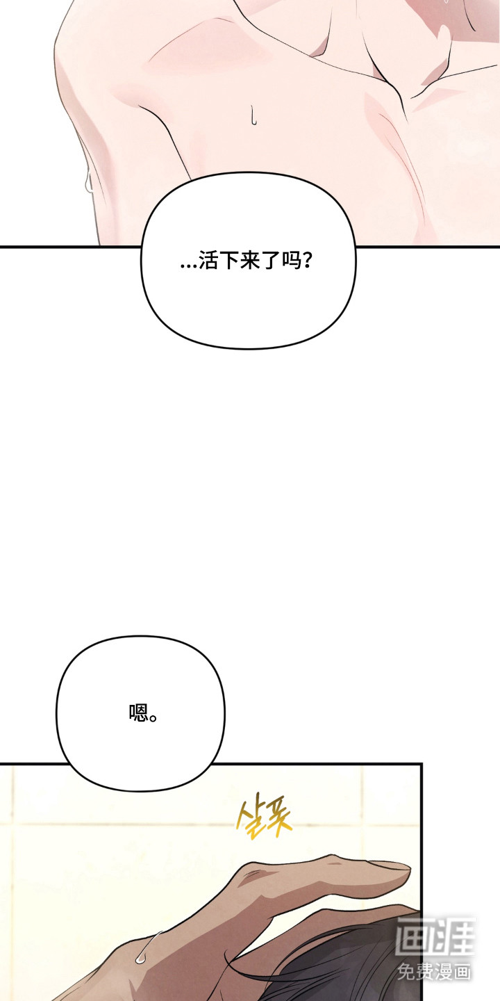 被播种的日子漫画-图3