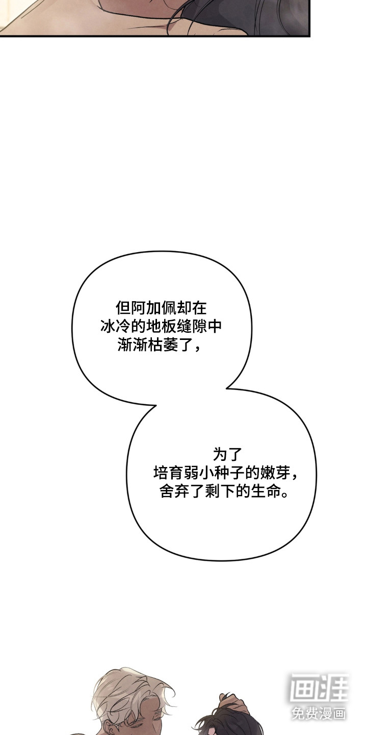 被播种的日子漫画-图4